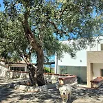 Amarmare Bed & Breakfast